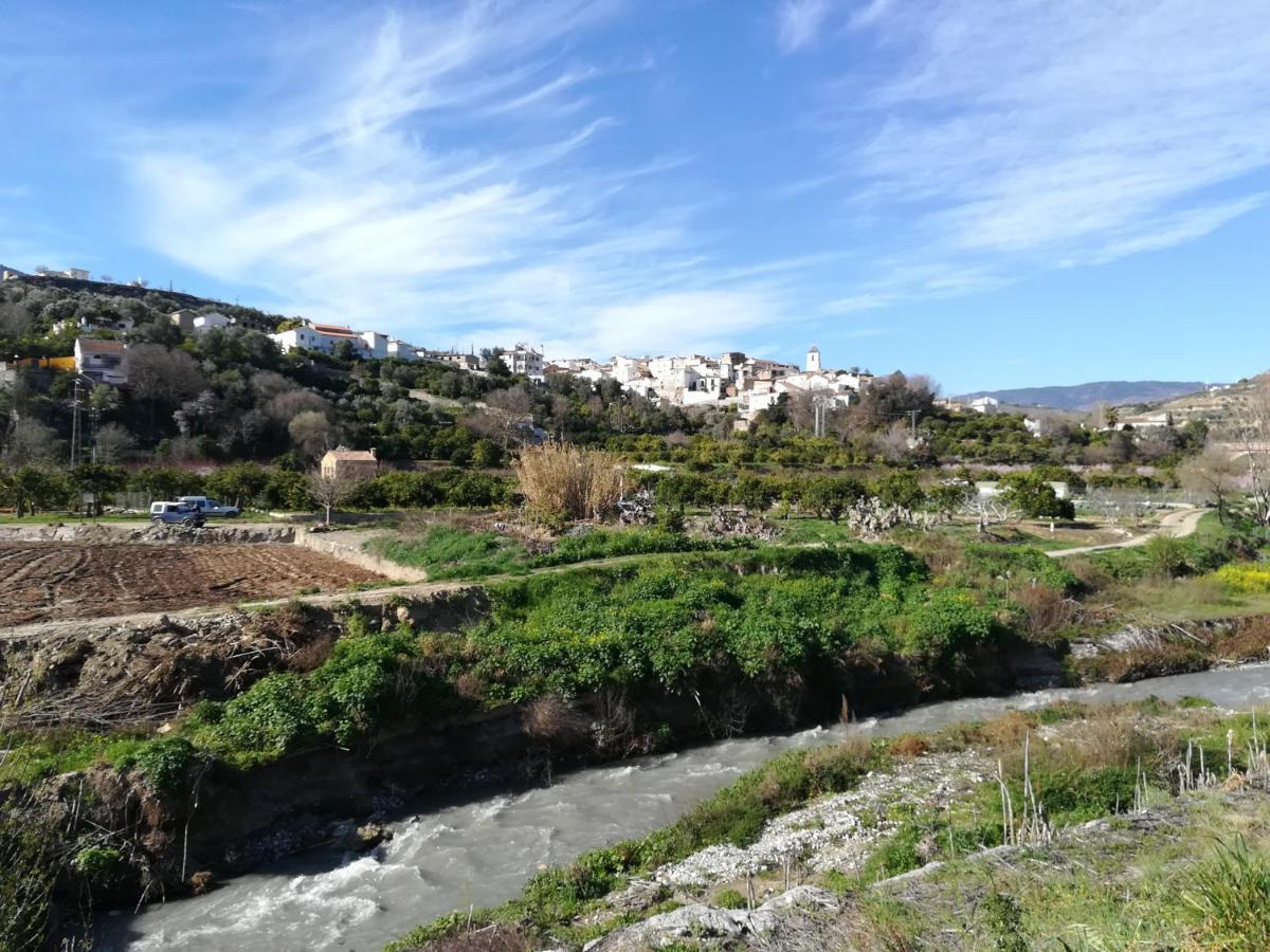 Hostal Y Apartamento Rural Los Naranjos Melegis Εξωτερικό φωτογραφία