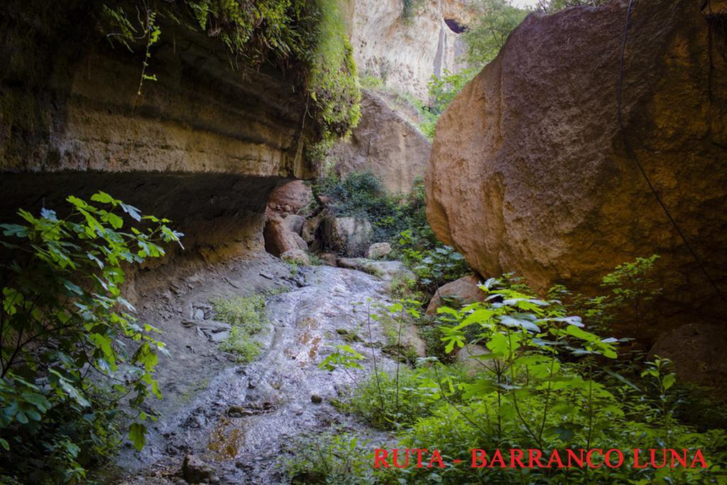 Hostal Y Apartamento Rural Los Naranjos Melegis Εξωτερικό φωτογραφία