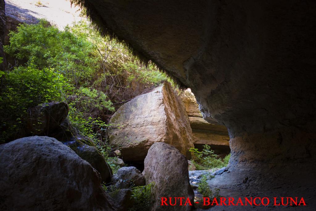 Hostal Y Apartamento Rural Los Naranjos Melegis Εξωτερικό φωτογραφία