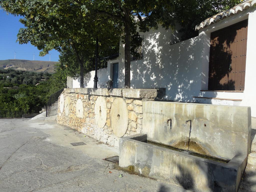 Hostal Y Apartamento Rural Los Naranjos Melegis Εξωτερικό φωτογραφία