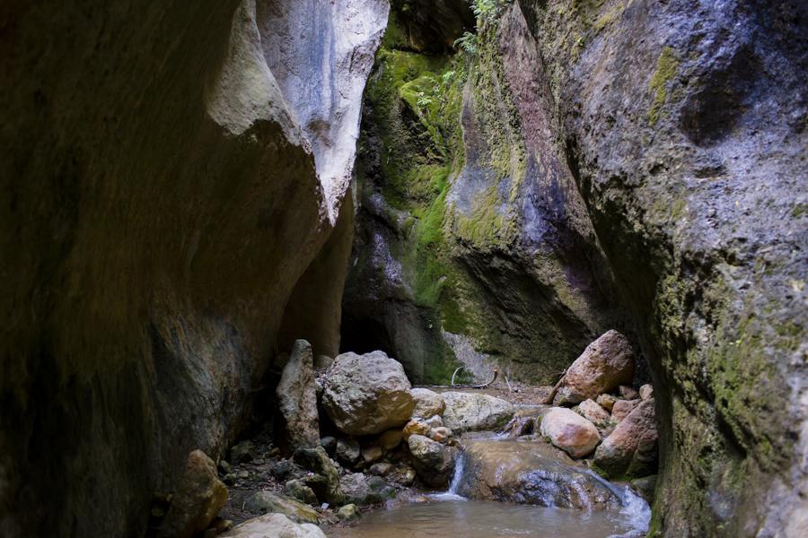 Hostal Y Apartamento Rural Los Naranjos Melegis Εξωτερικό φωτογραφία