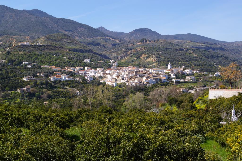Hostal Y Apartamento Rural Los Naranjos Melegis Δωμάτιο φωτογραφία