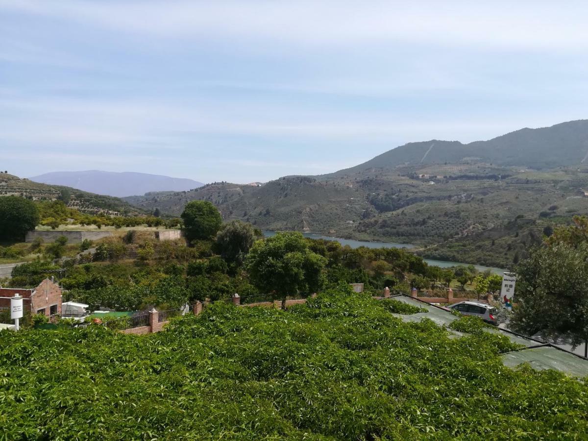 Hostal Y Apartamento Rural Los Naranjos Melegis Εξωτερικό φωτογραφία
