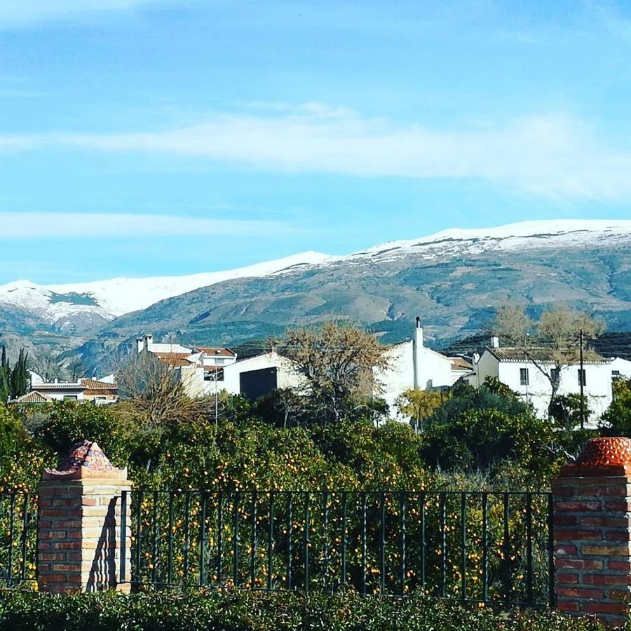 Hostal Y Apartamento Rural Los Naranjos Melegis Εξωτερικό φωτογραφία