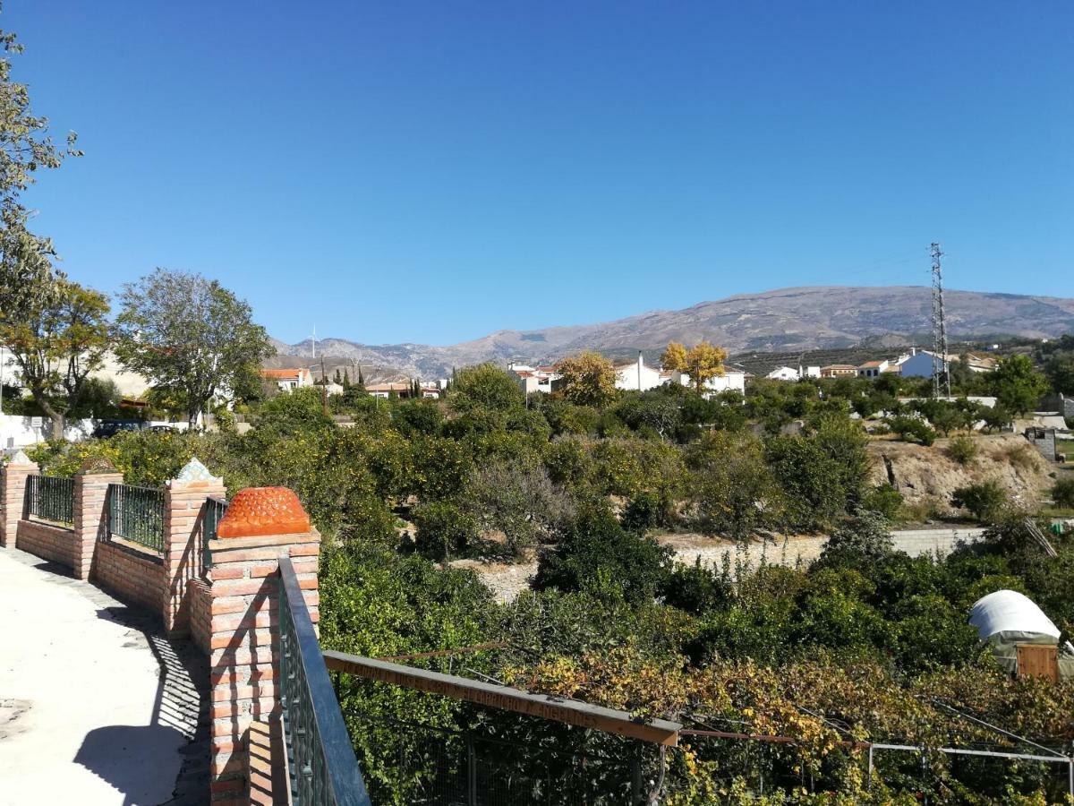 Hostal Y Apartamento Rural Los Naranjos Melegis Εξωτερικό φωτογραφία